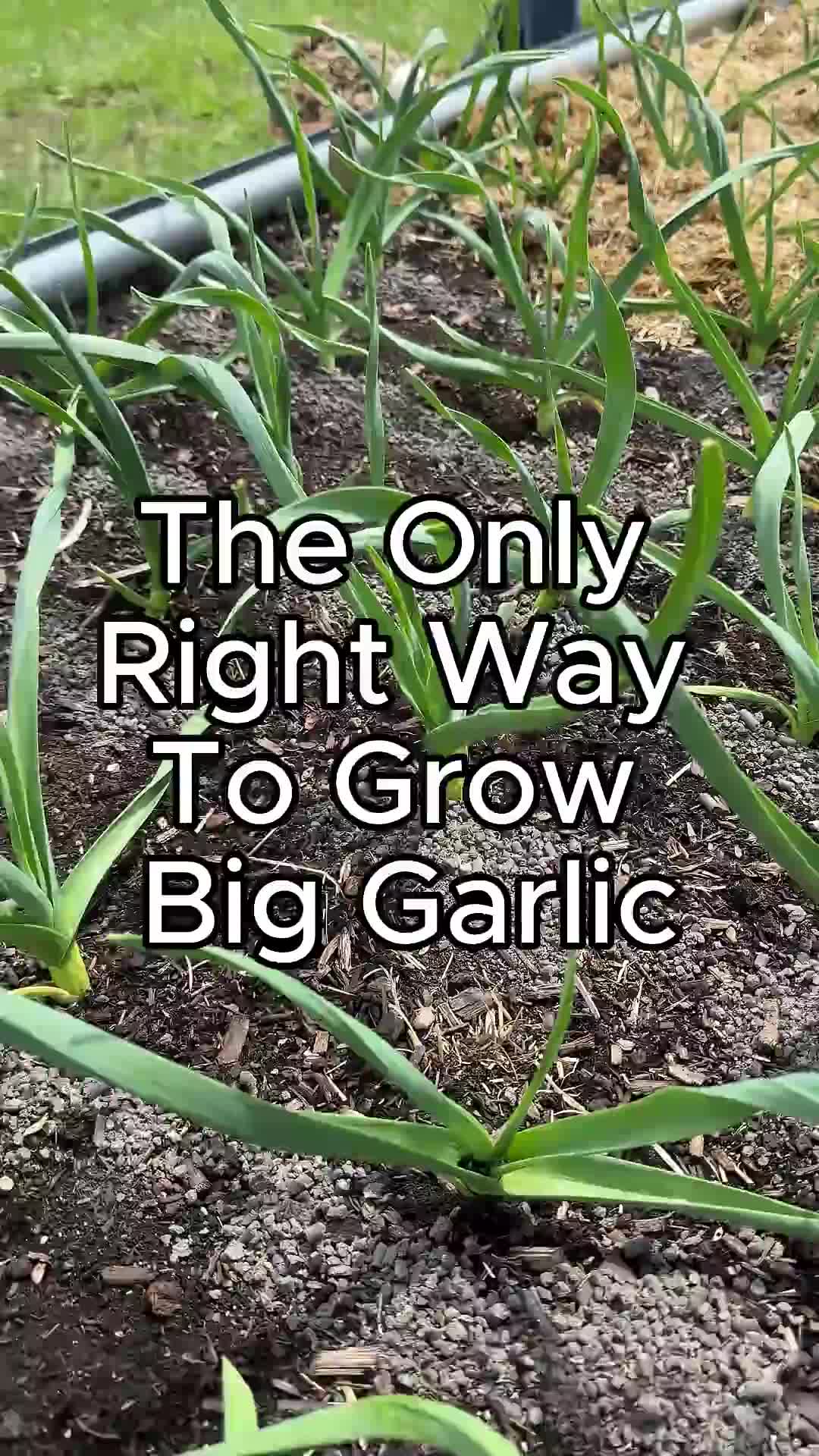 @Farmer 🧑&zwj;🌾