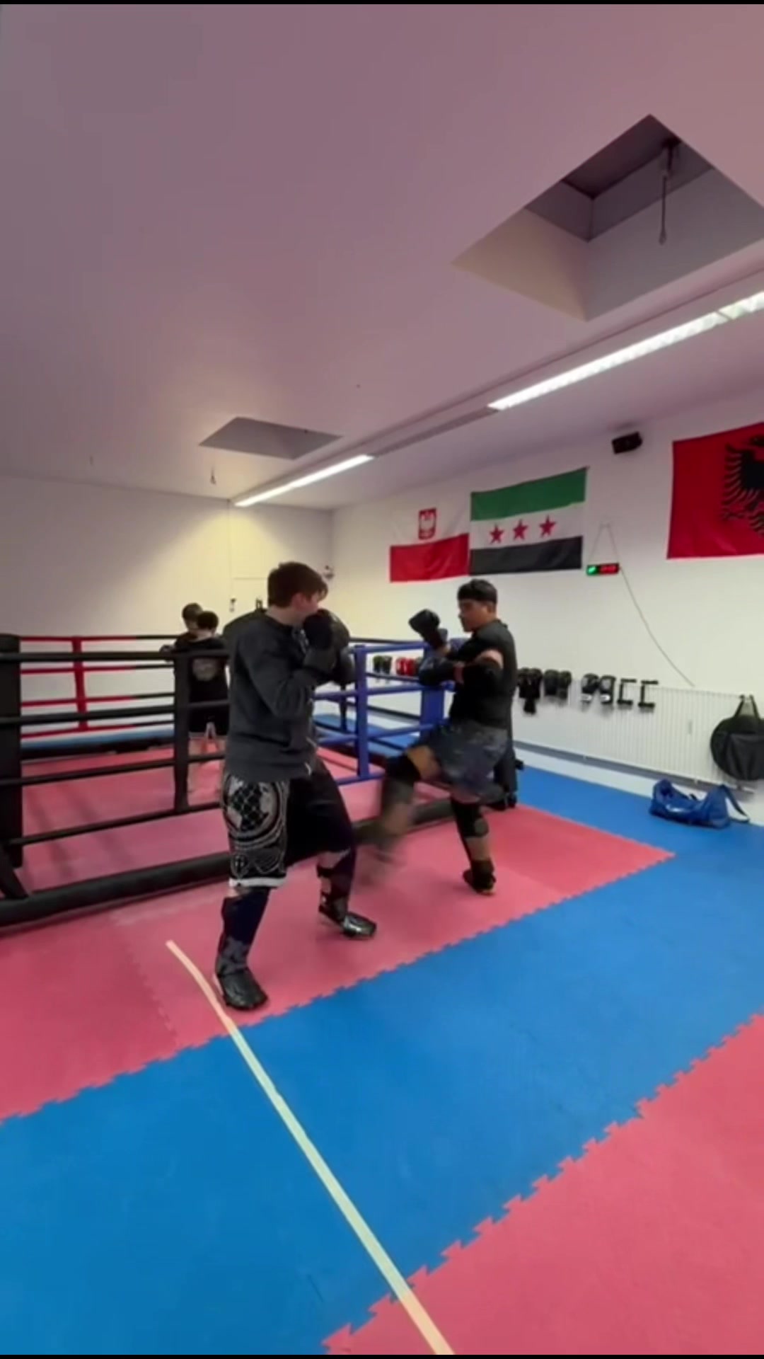 @WFC Fight Club