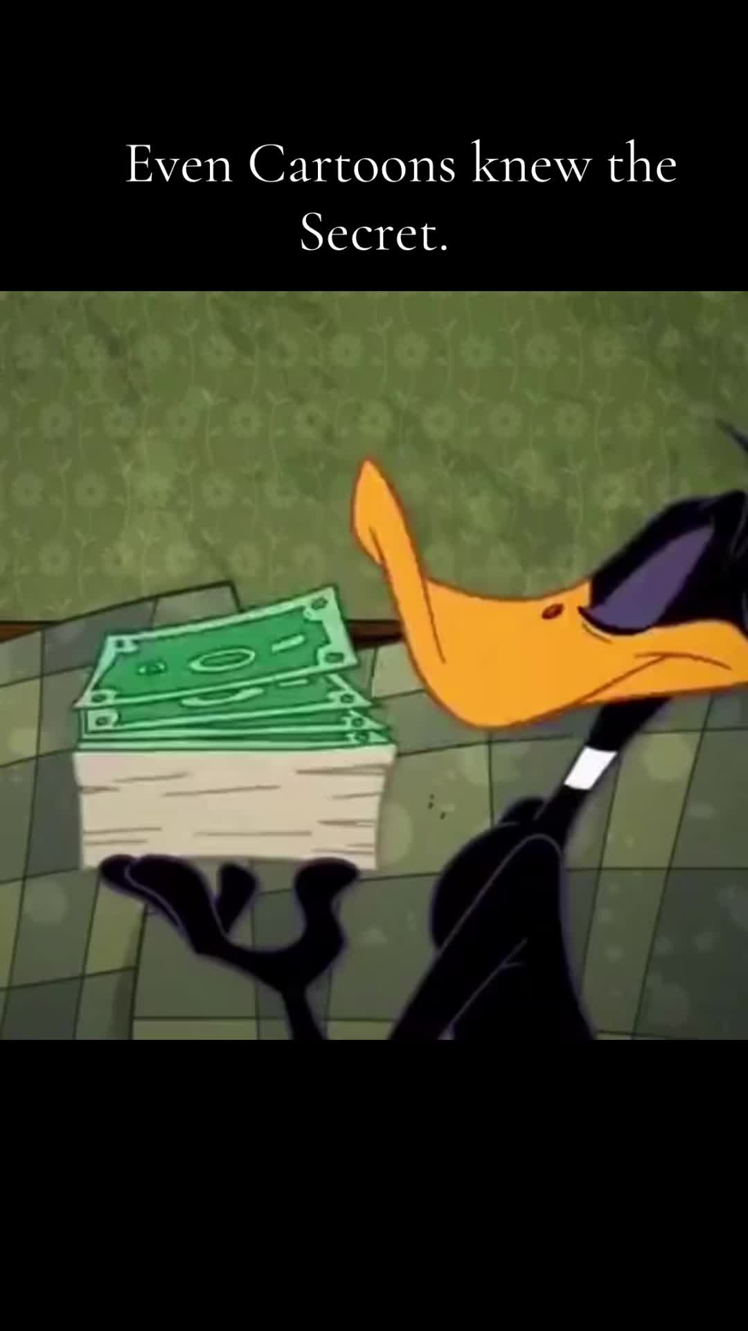 @Themefy