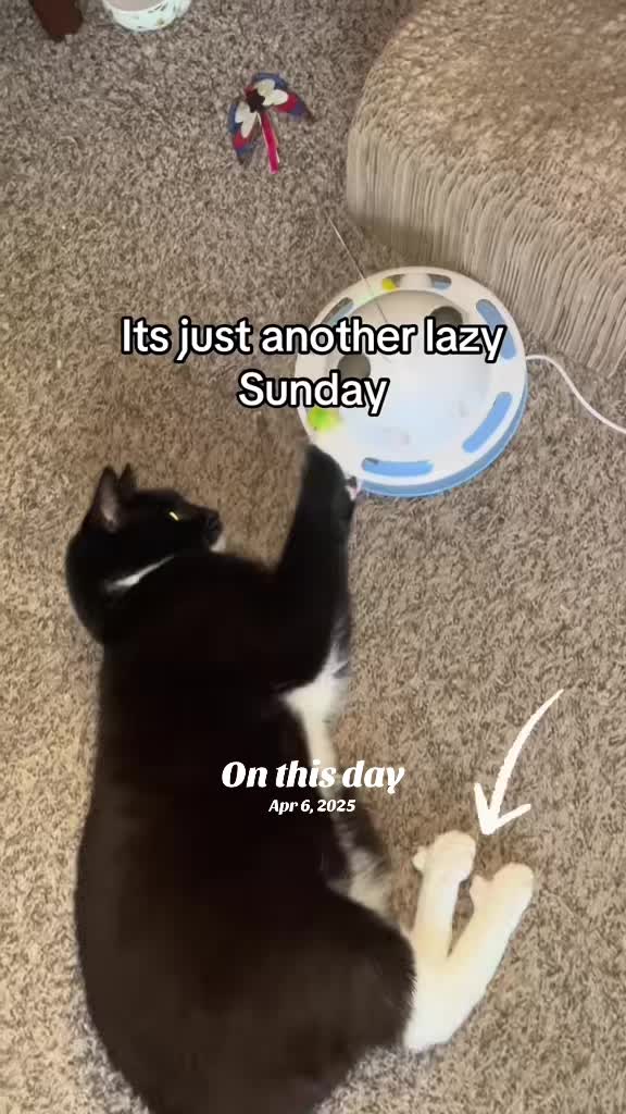 @Pablo & Luigi 🐾