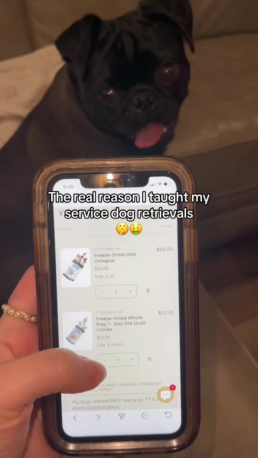@papitheservicepug