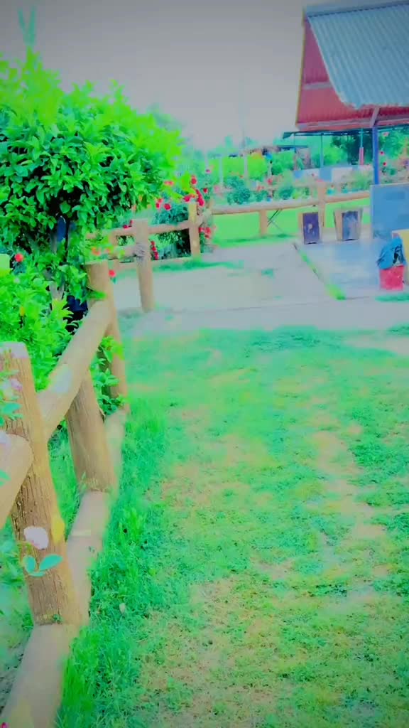 @<<💫𝐊𝐈𝐍𝐆 𝐈𝐒 𝐁𝐀𝐂𝐊💫>>