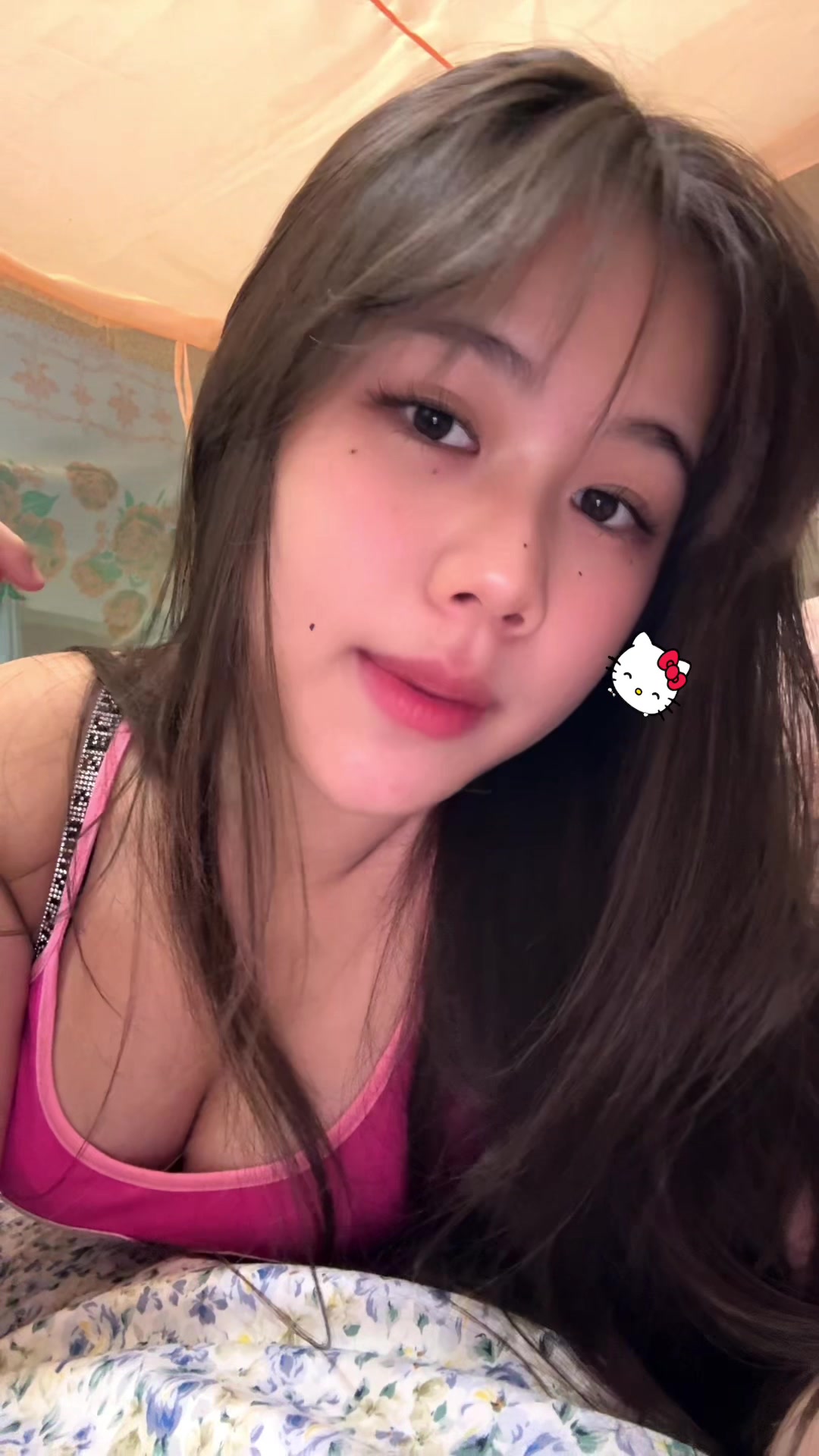 @bib2617