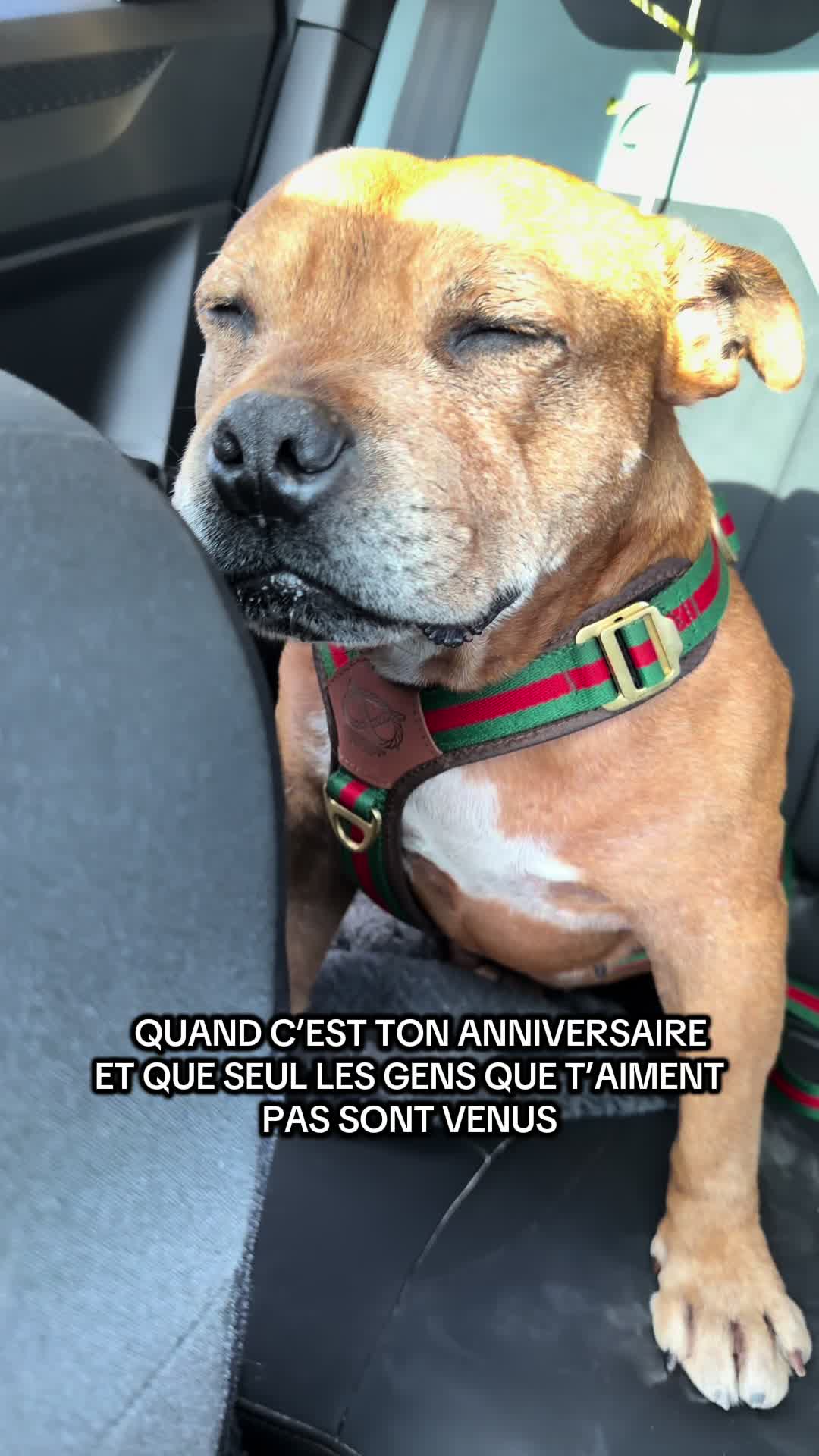@🐾 Malki Red Star 🐾