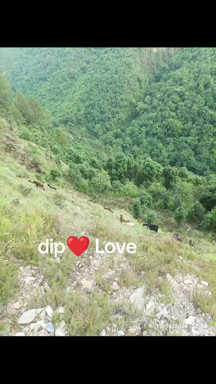 @dip❤ Love