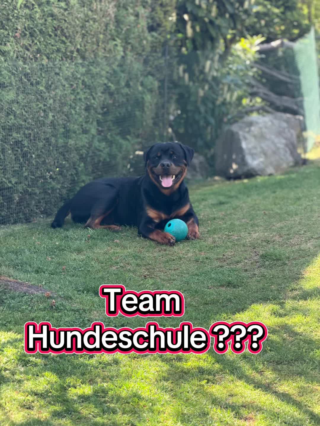 @JAGGER - the German Rottweiler