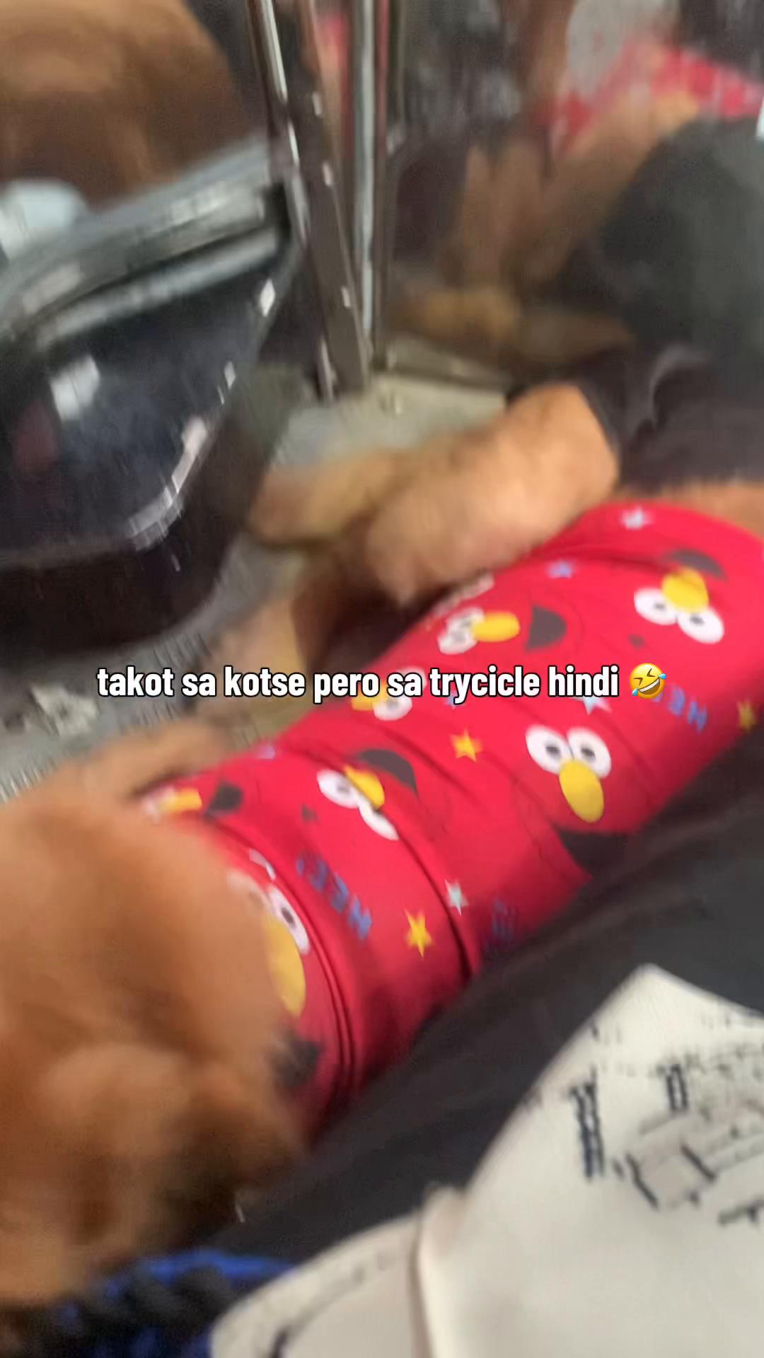 @Elmo 🐶