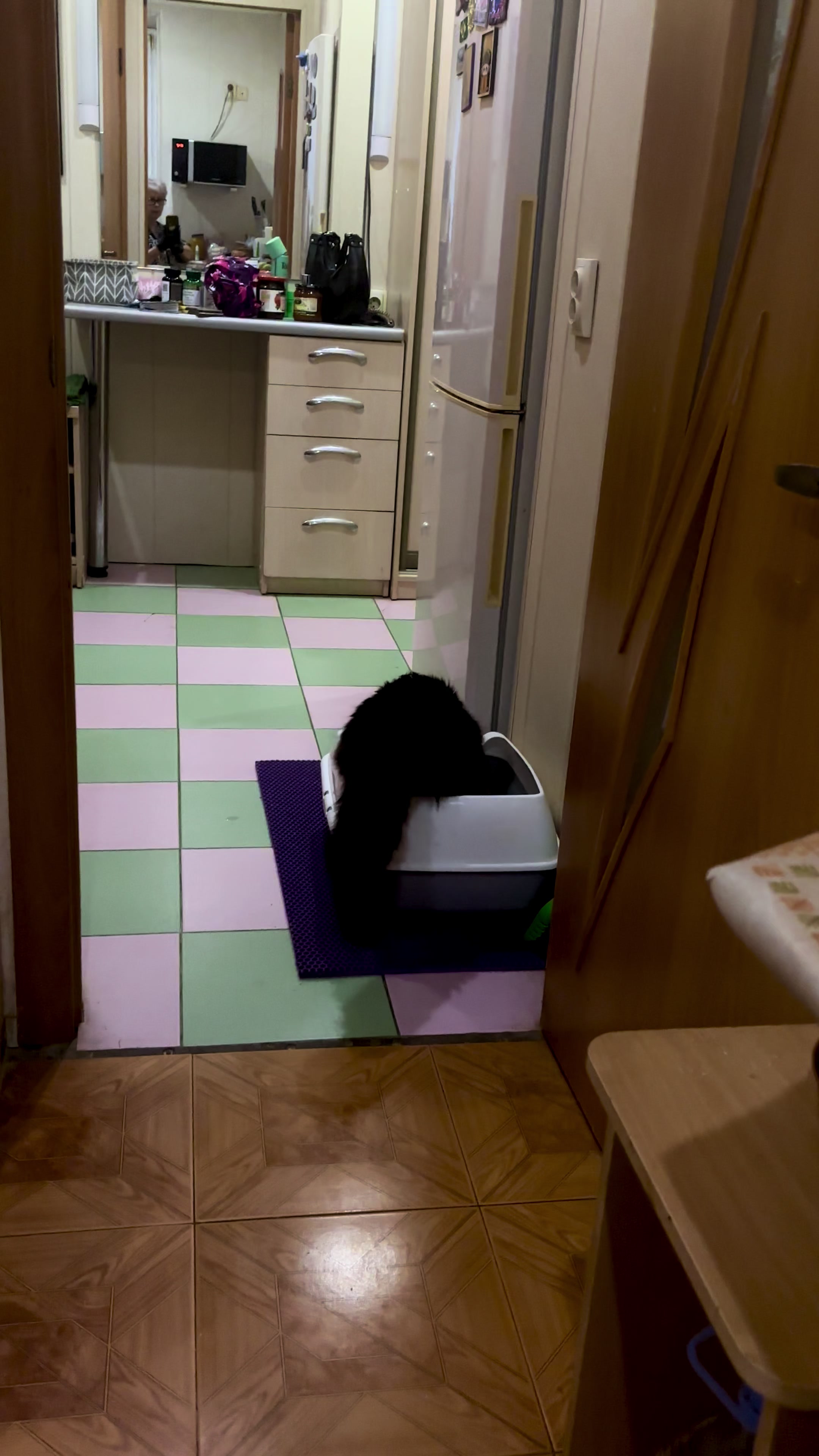 @Хвостатые бандиты🐈⬛🐈