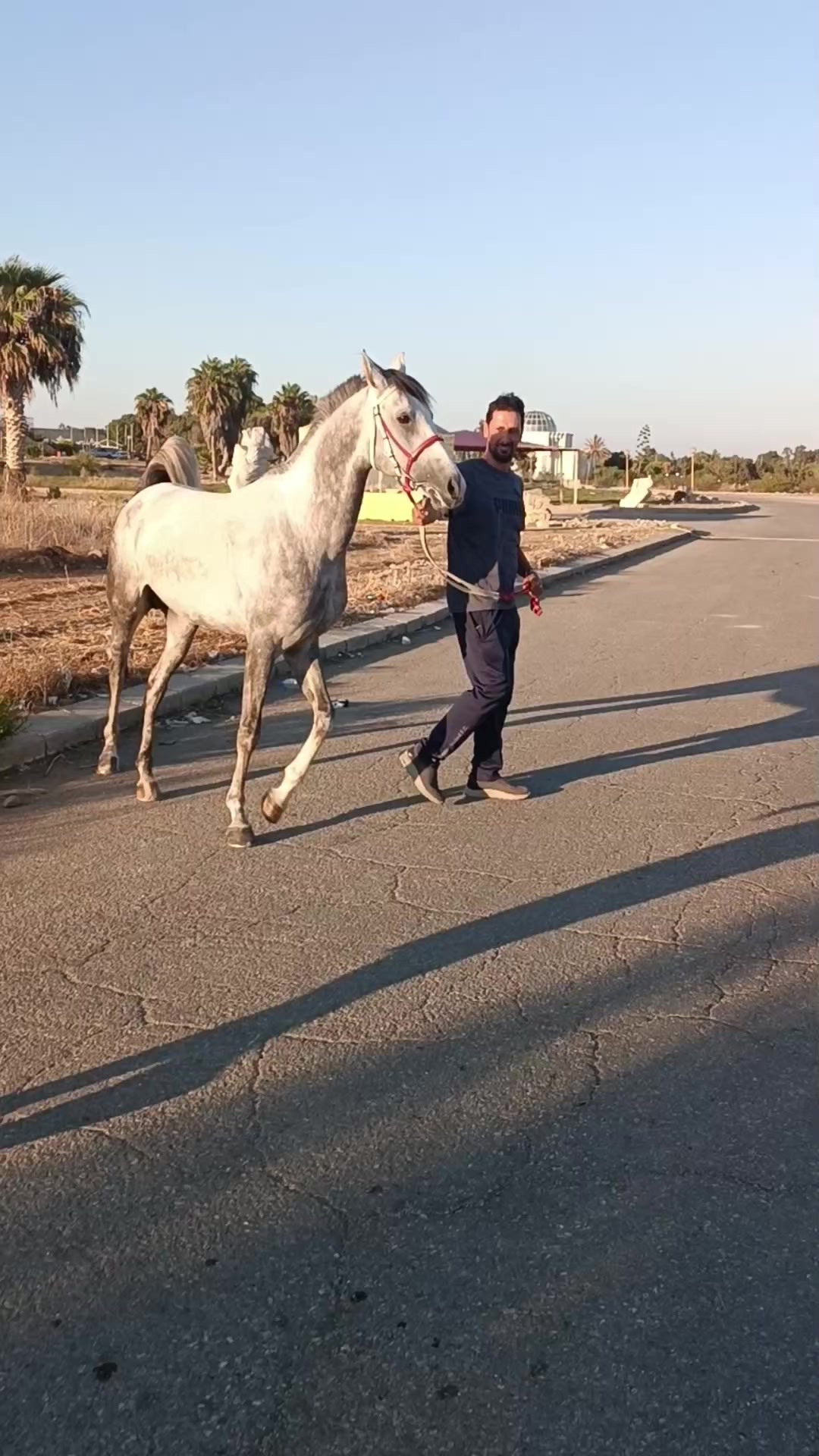 @أحمد(☆▽☆)البيراوي(☆▽☆)