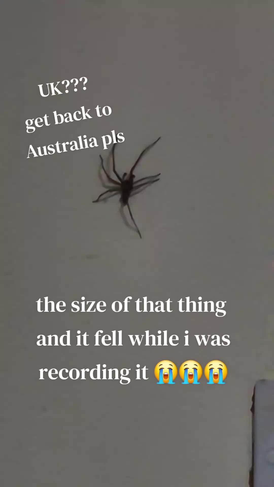 @itssanni