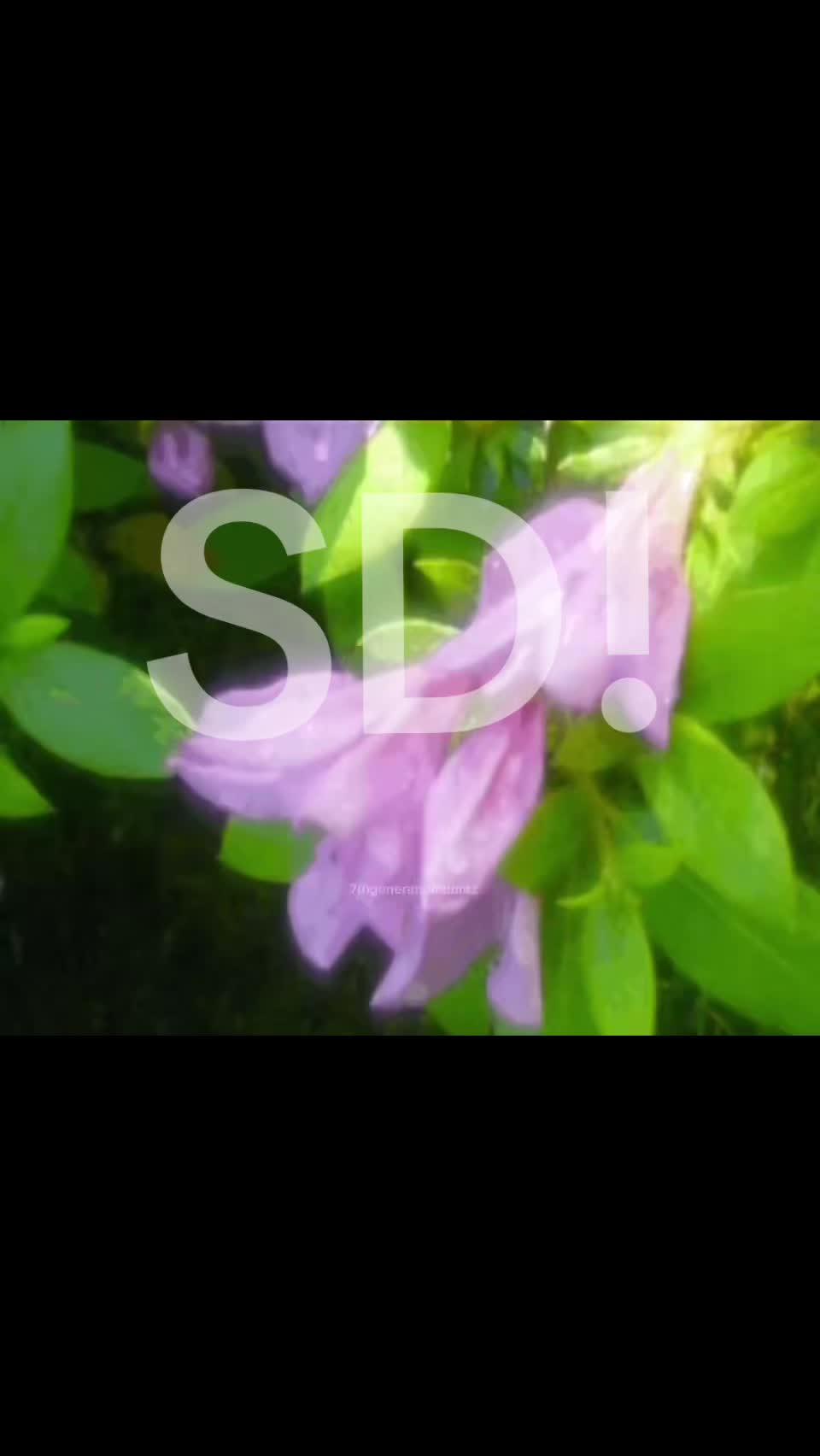 @★