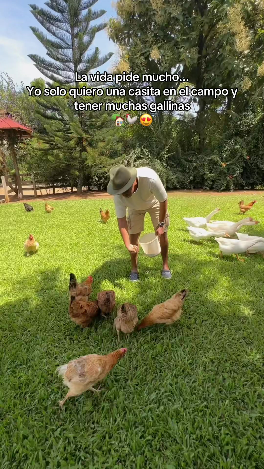 @Carlos Torres | Turismo 🇩🇴