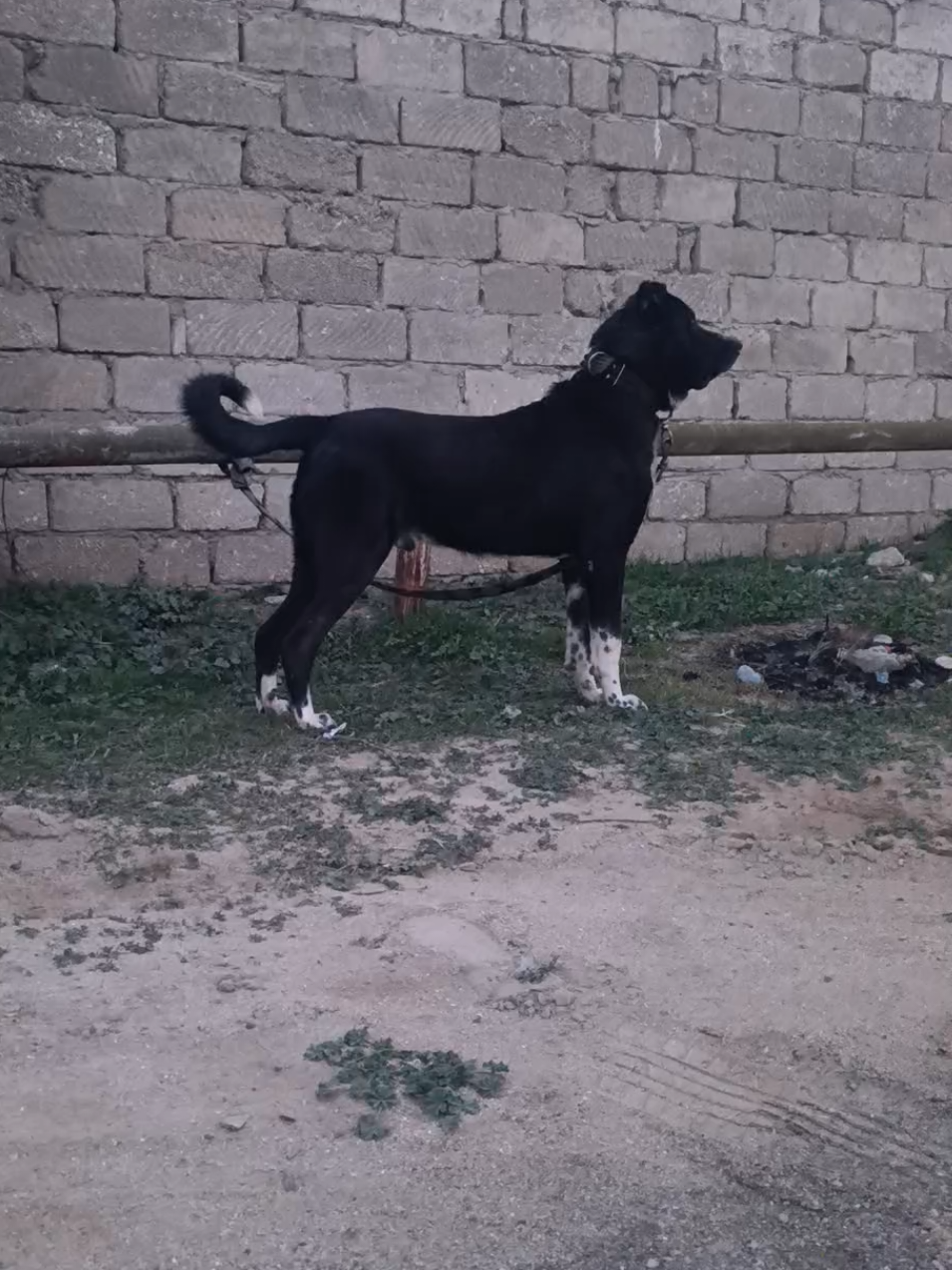 @Yaquar