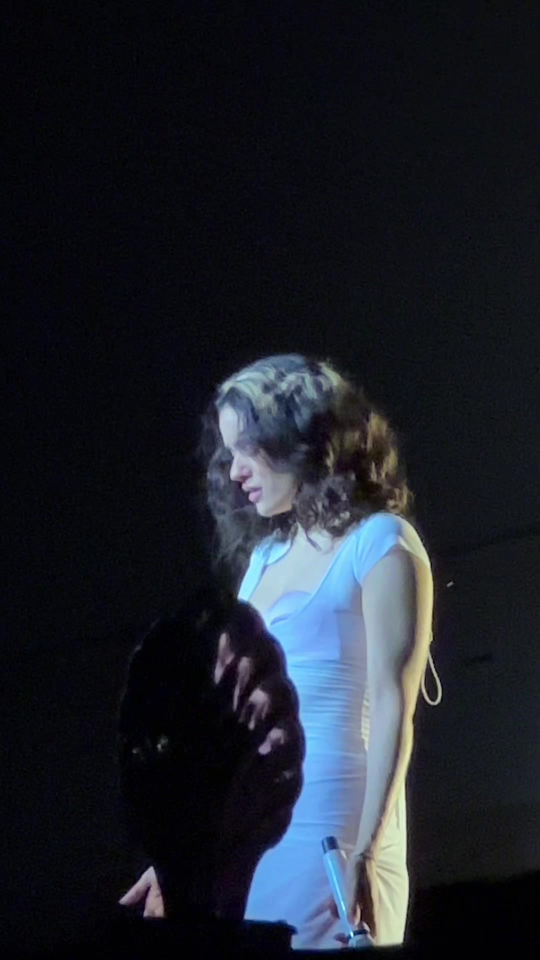 @rosalialatinoamerica
