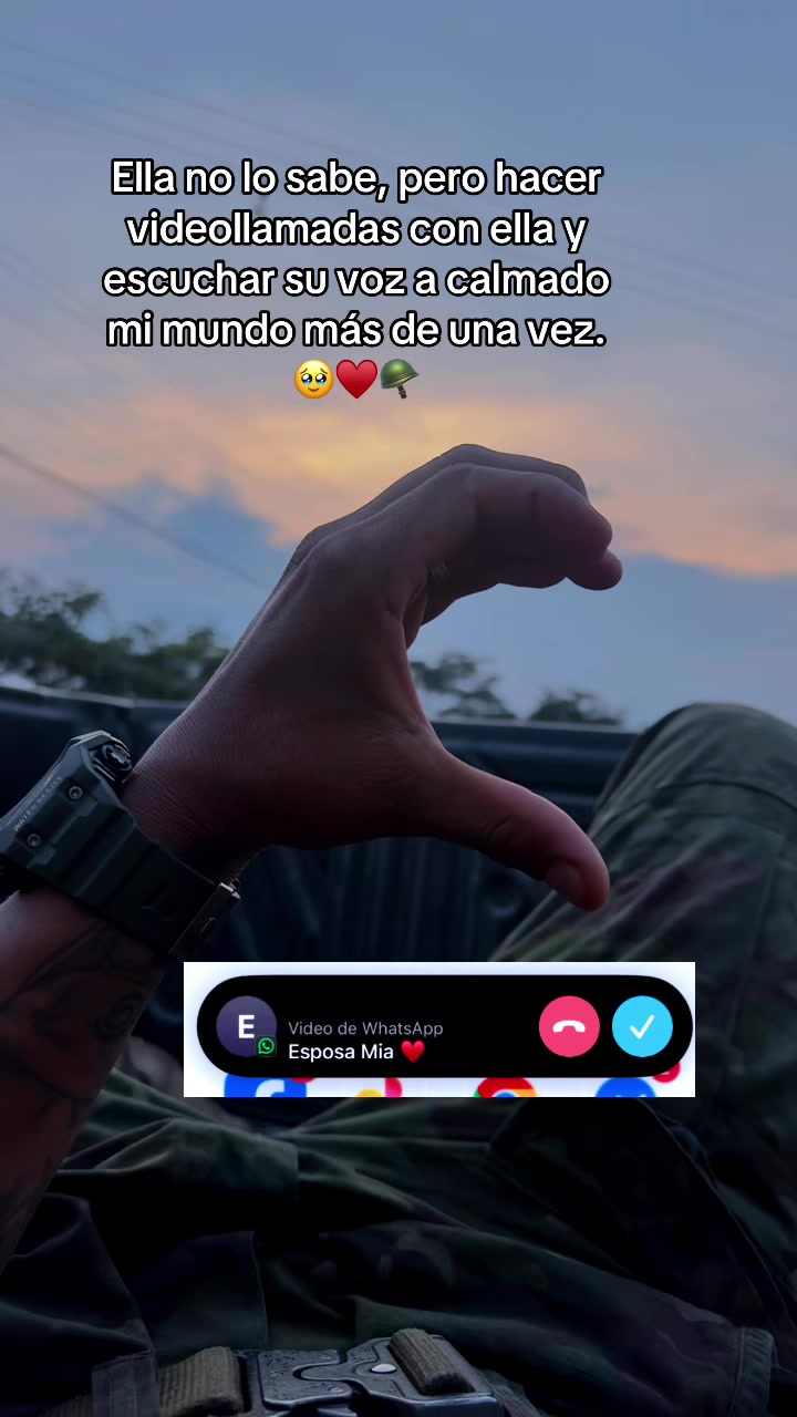 @乂 Wilͥᴍeͣrͫ ࿐🕊️🐺