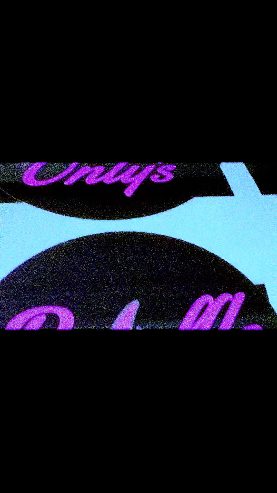 @Steady Creations