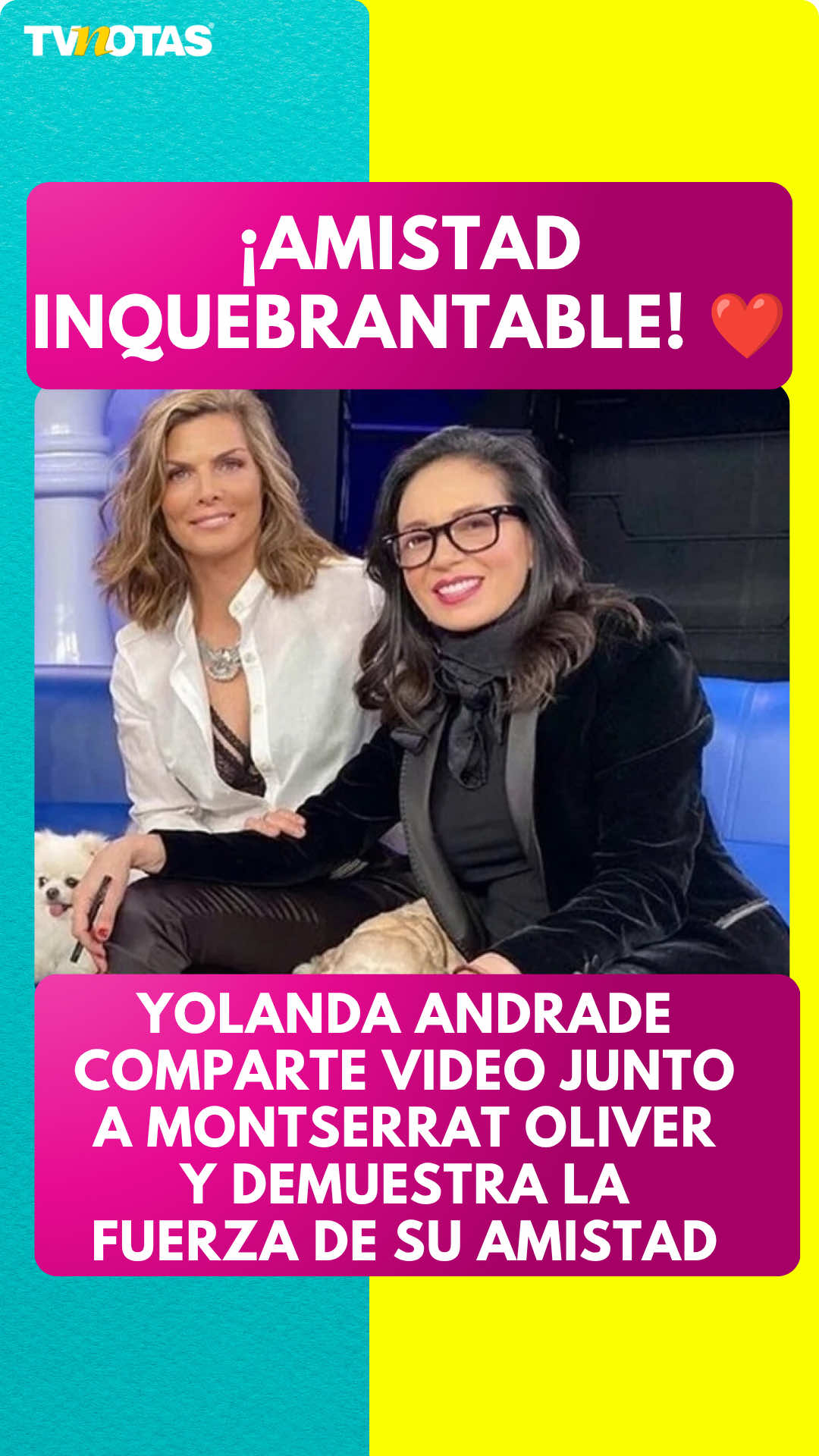 @Revista TVNotas