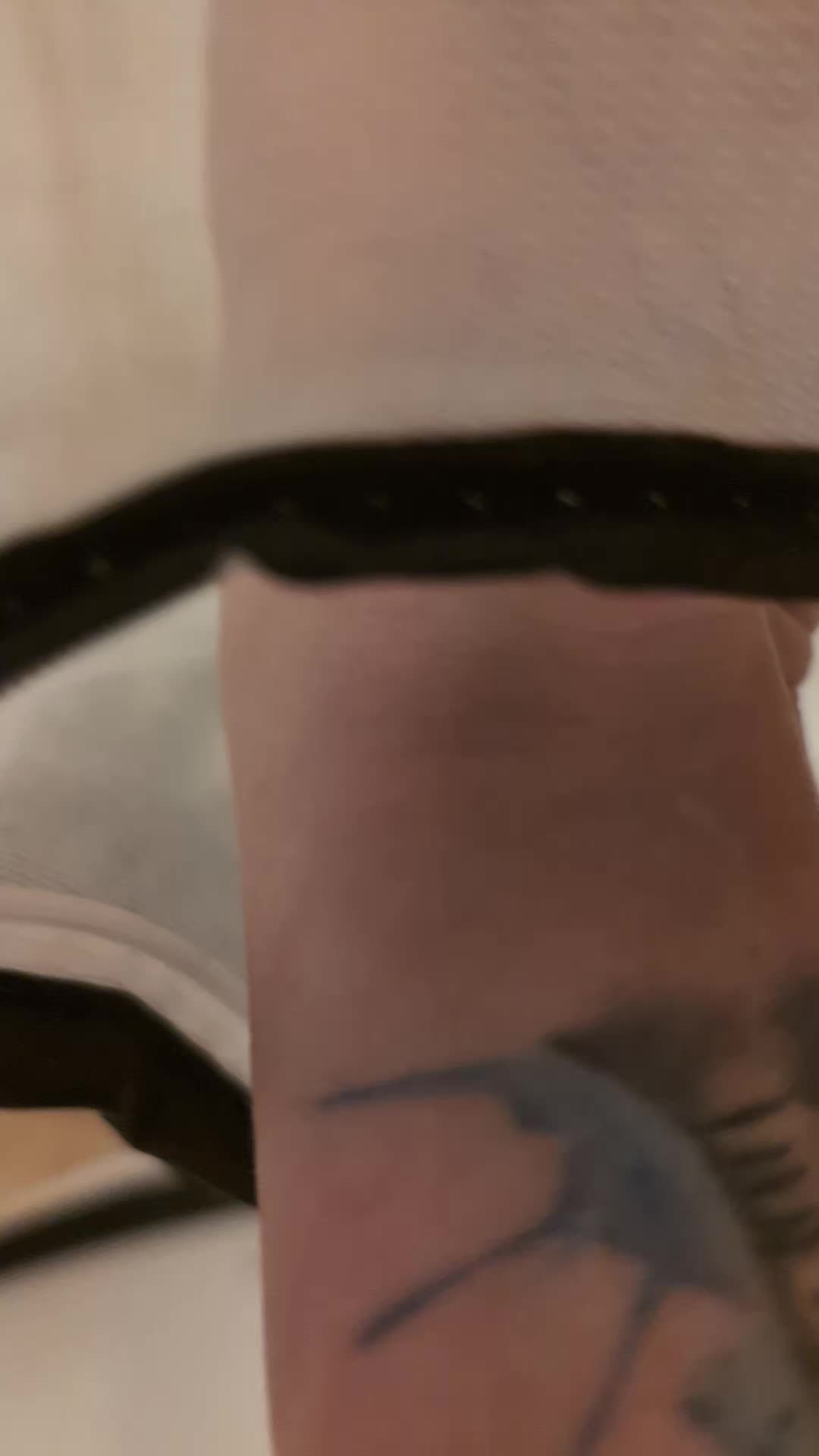 @PapilioDani