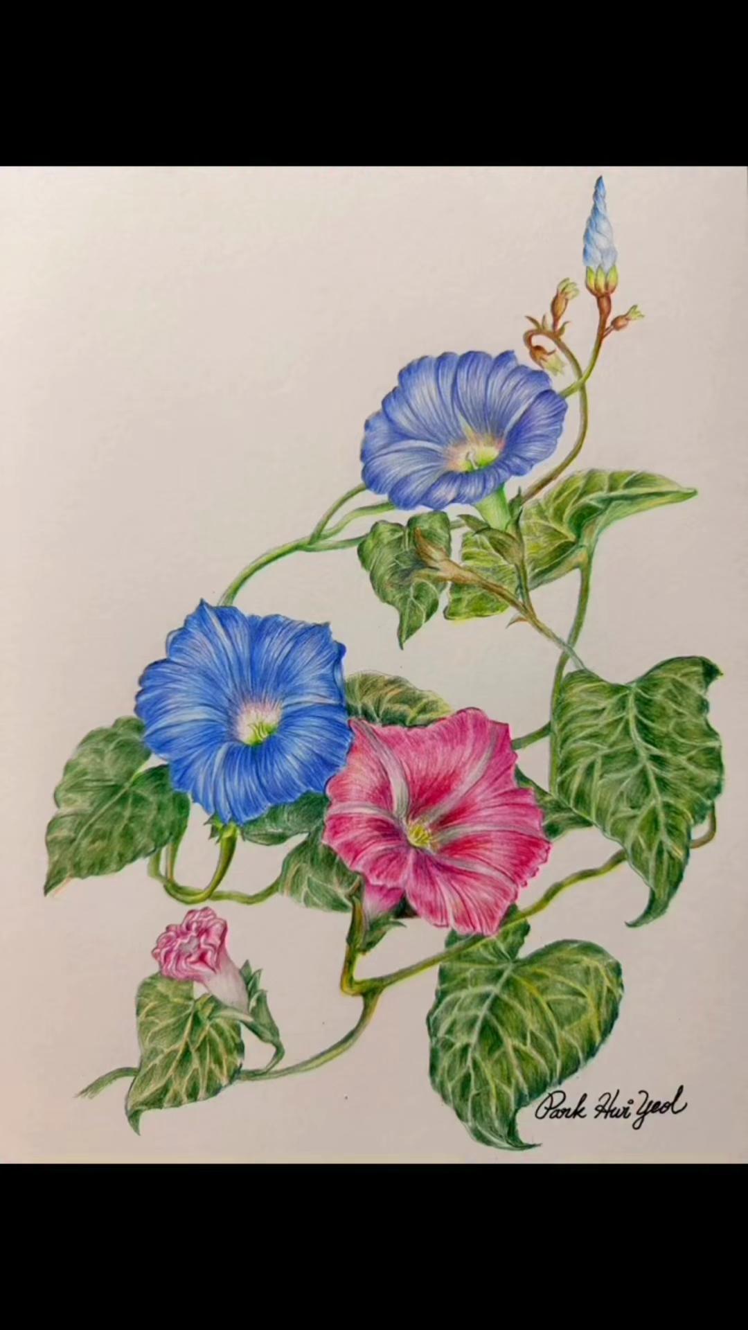 @朴辉烈박휘열