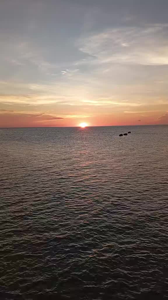 @ফুল🌸🌼