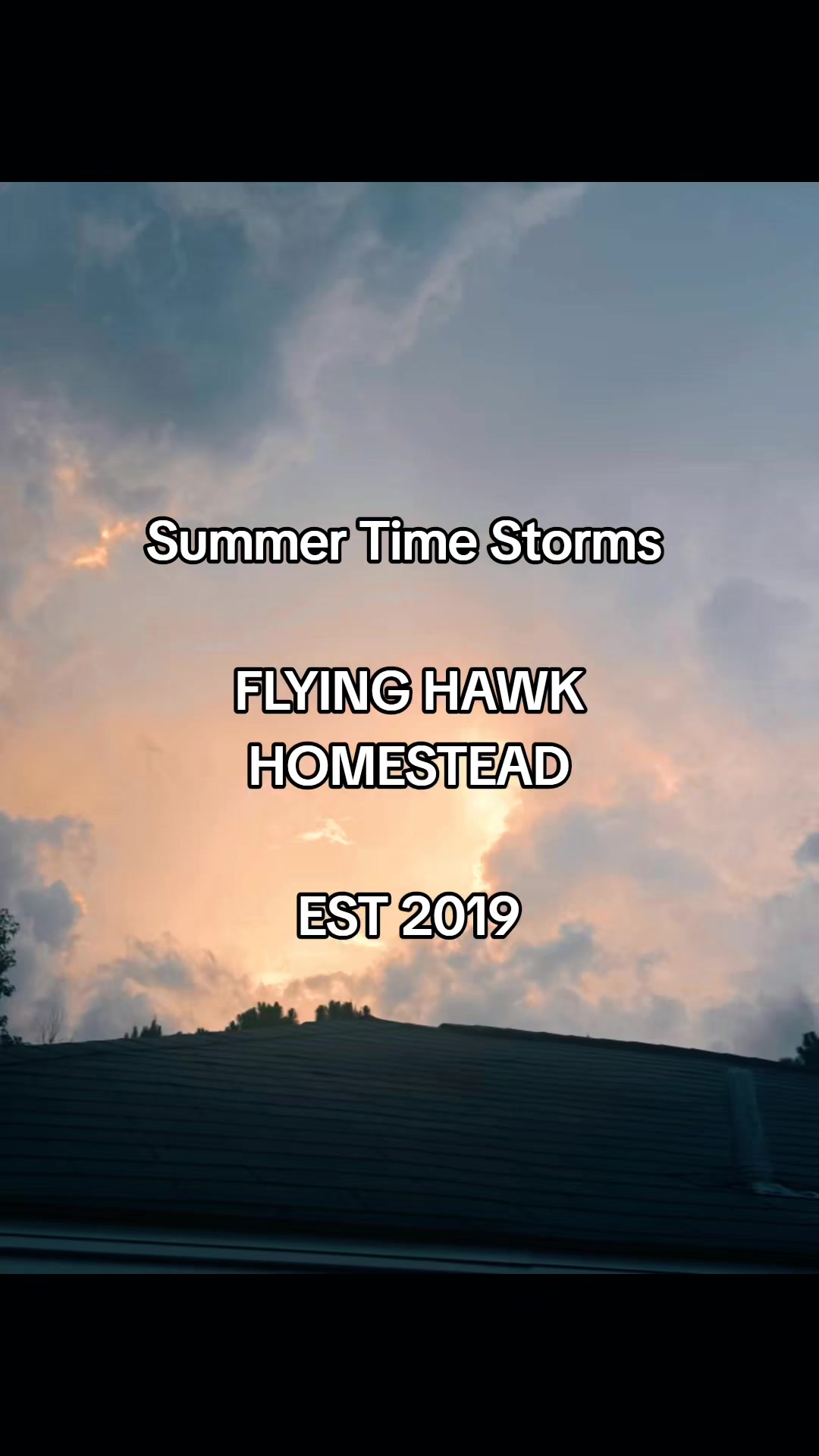 @Flying Hawk Homestead