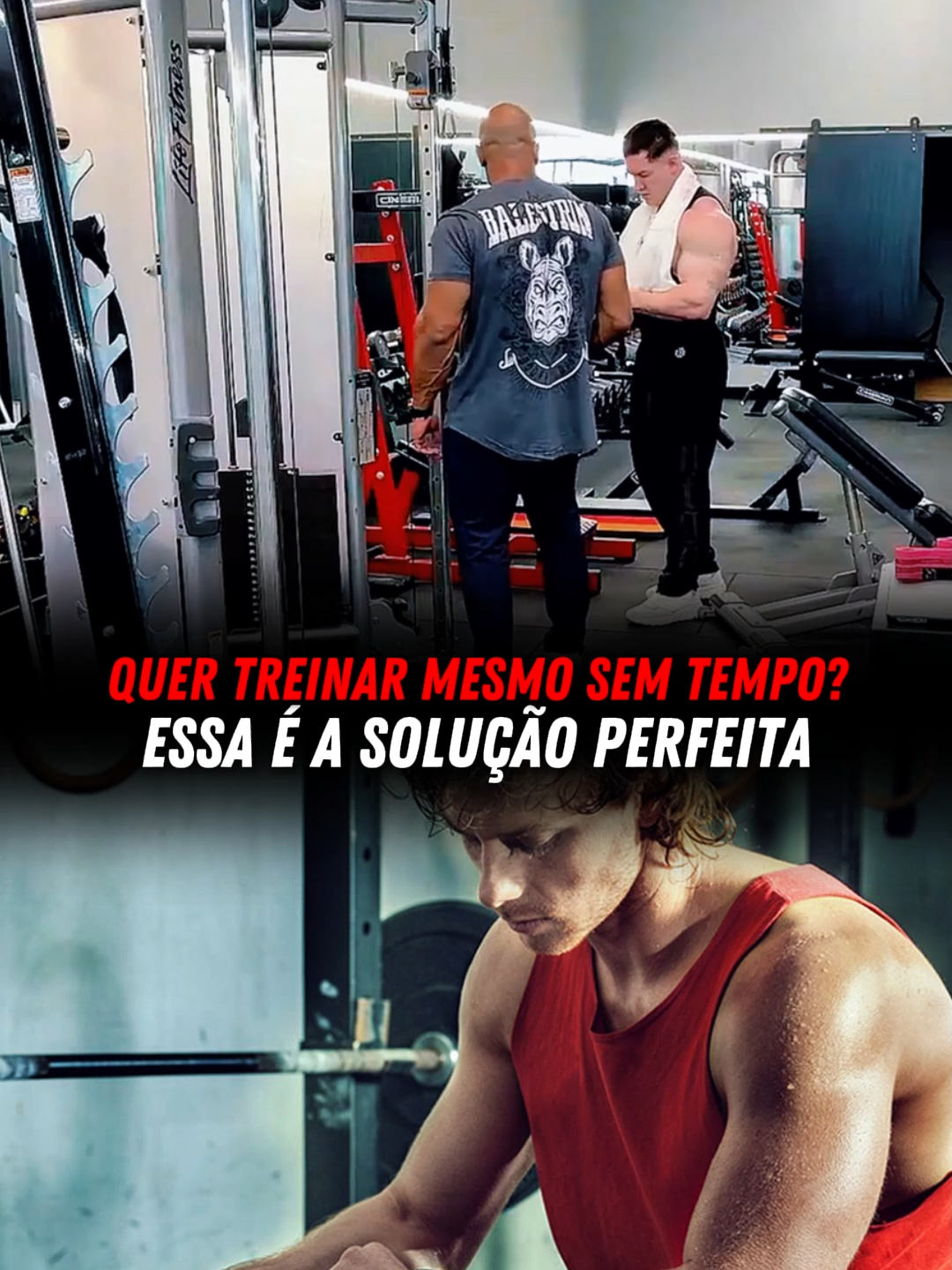 @Projeto Monstro