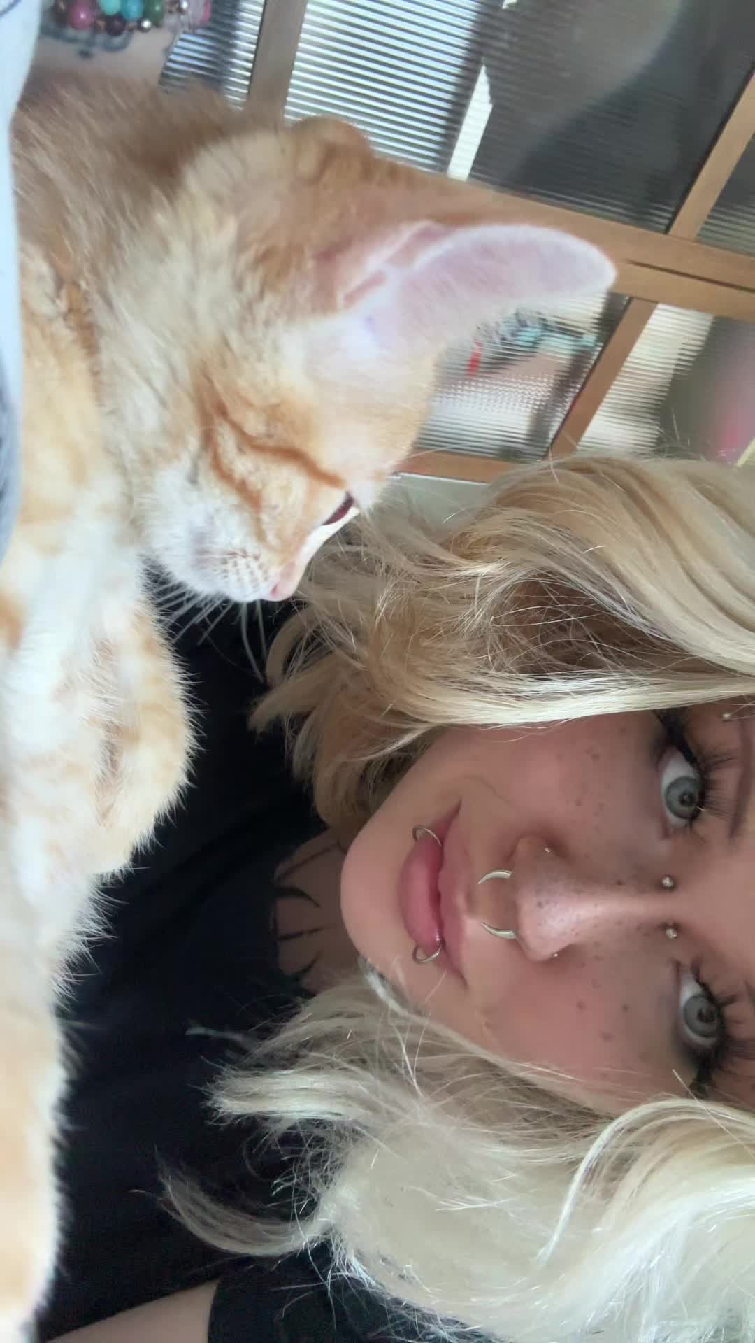 @cutlayki