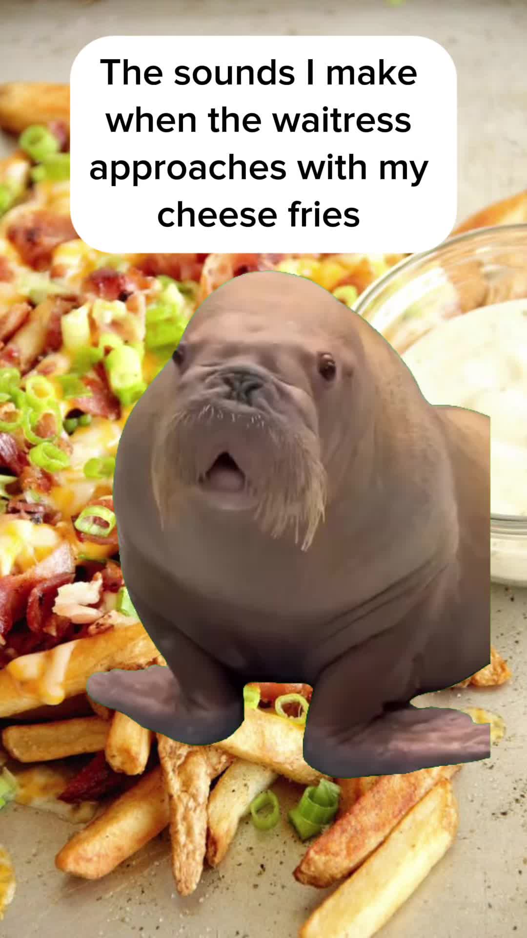 @TheDMAmes