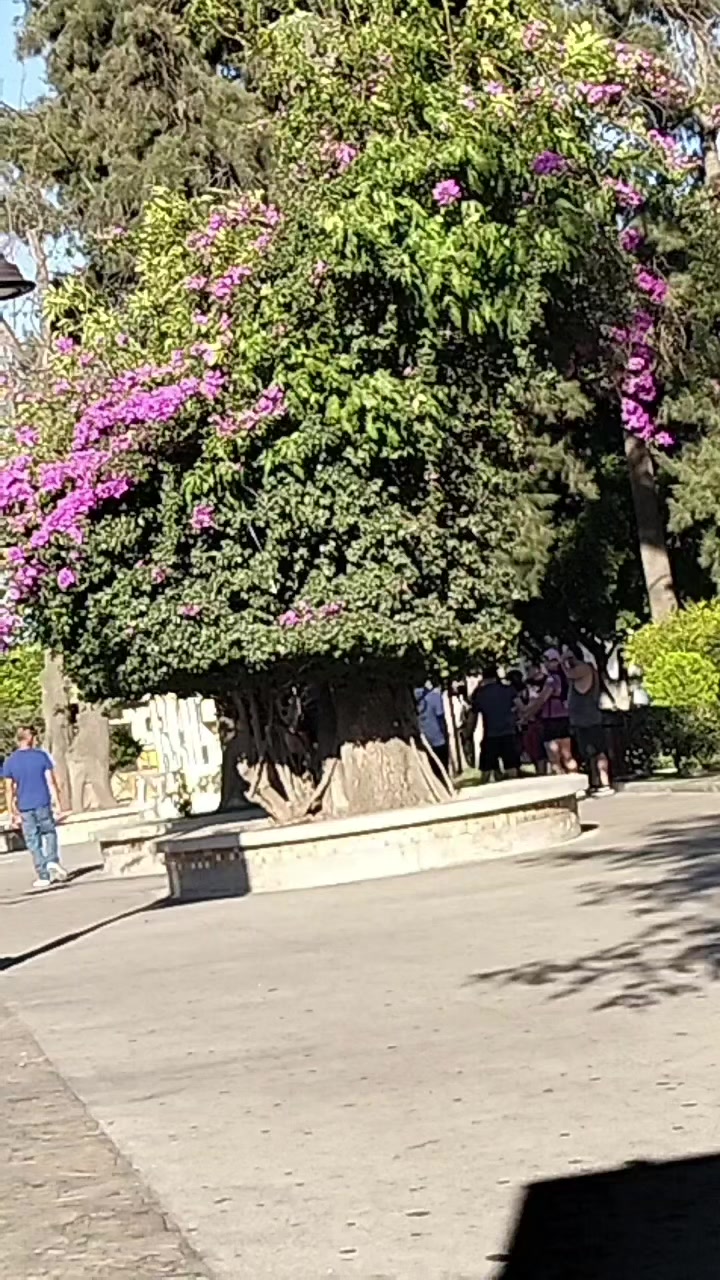 @Angel Carl&oacute;n