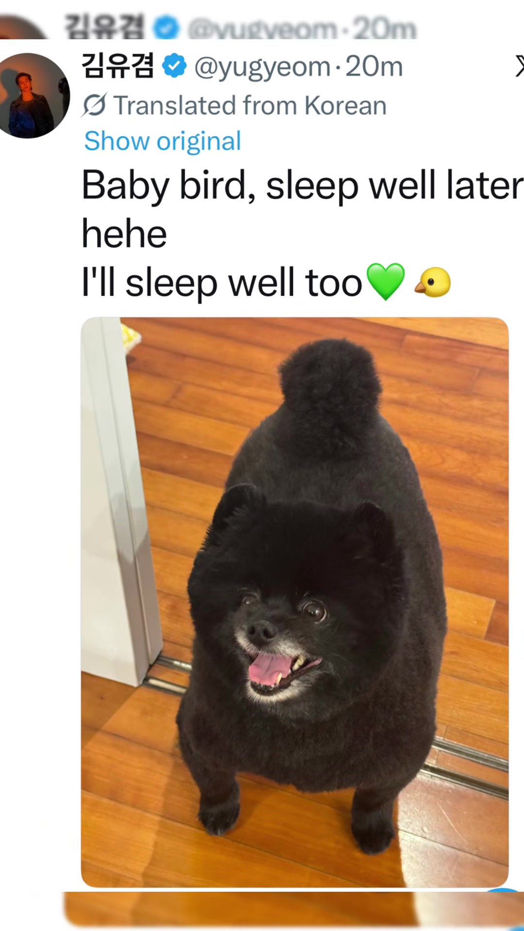 @333_CYJ 💚🦦