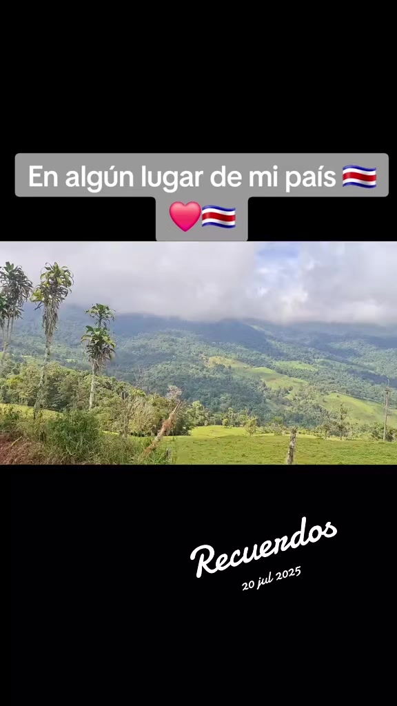 @simplemente Jonis