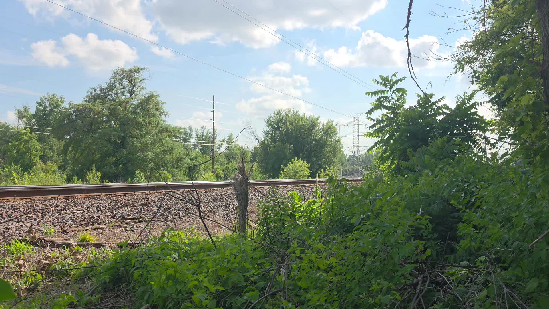 @Eastern Iowa by Rails📷🚂🚗