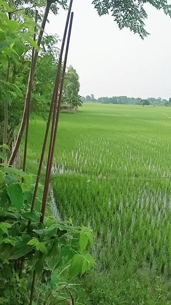 @Rituyadav