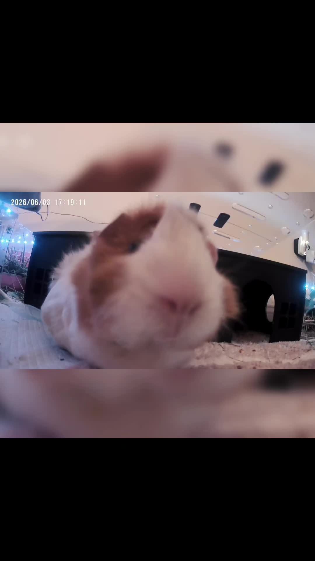 @𝕔𝕫𝕣_𝕧𝕚𝕕𝕖𝕠𝕤