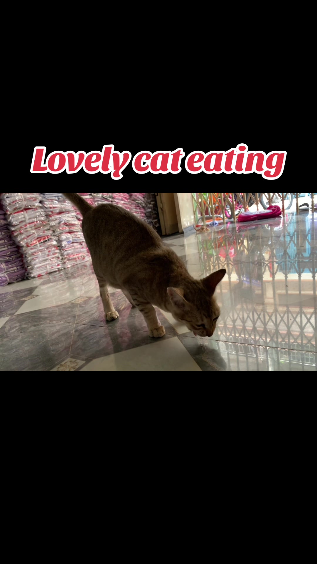 @Mew Mew96