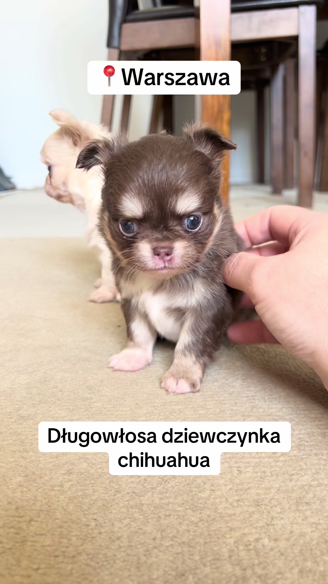 @Ulybki_lilu
