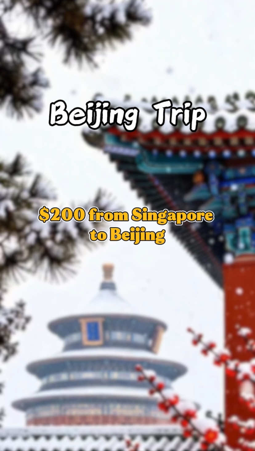 @金马国旅