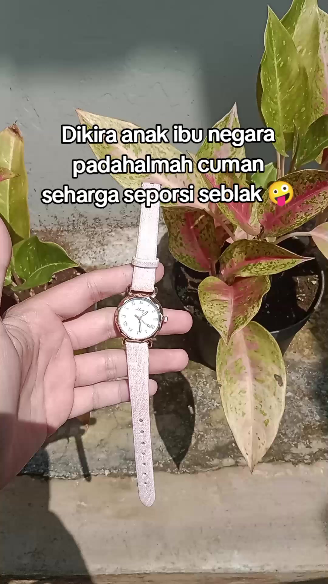 @S-tetik 🛒