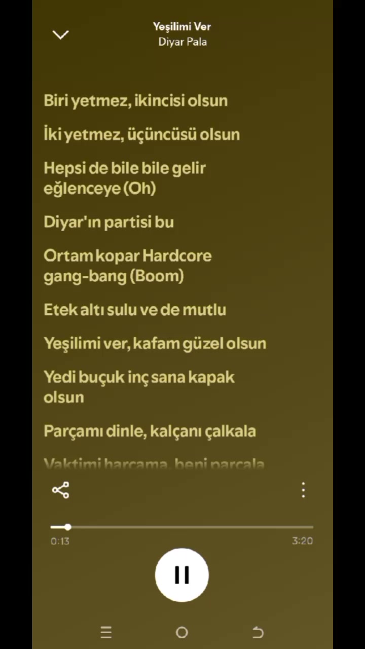 @pro müzik