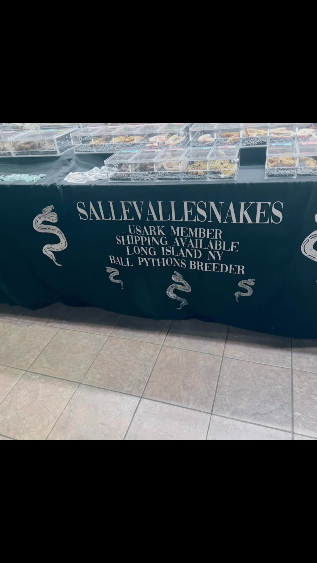 @Sallevallesnakes (jose)