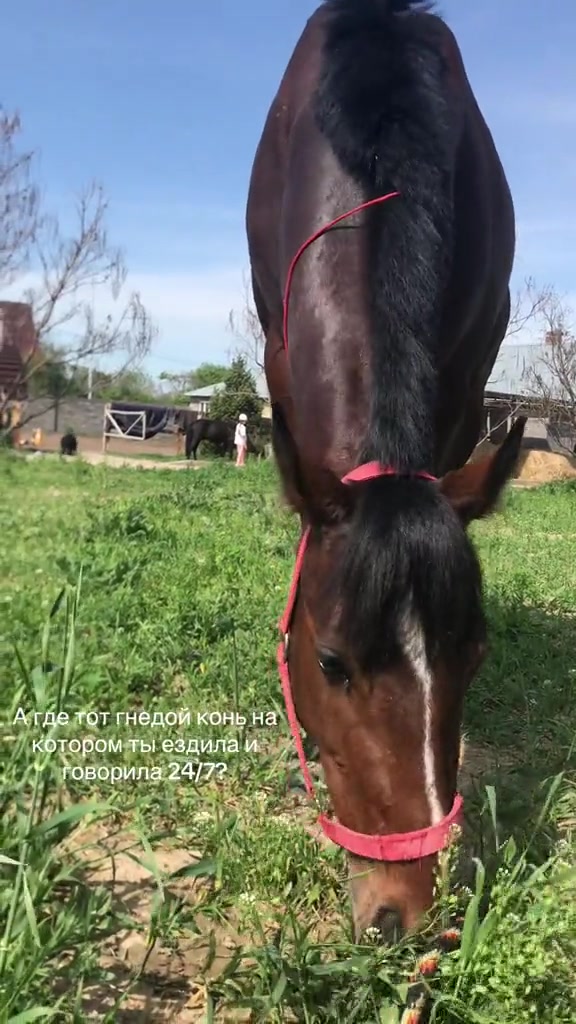 @jockey.hors