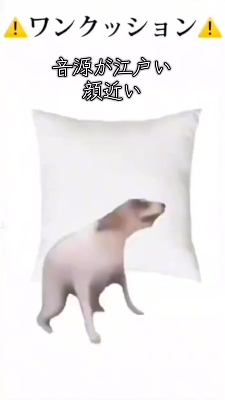 @ãã¡ãðªïžïžâ°âê³
