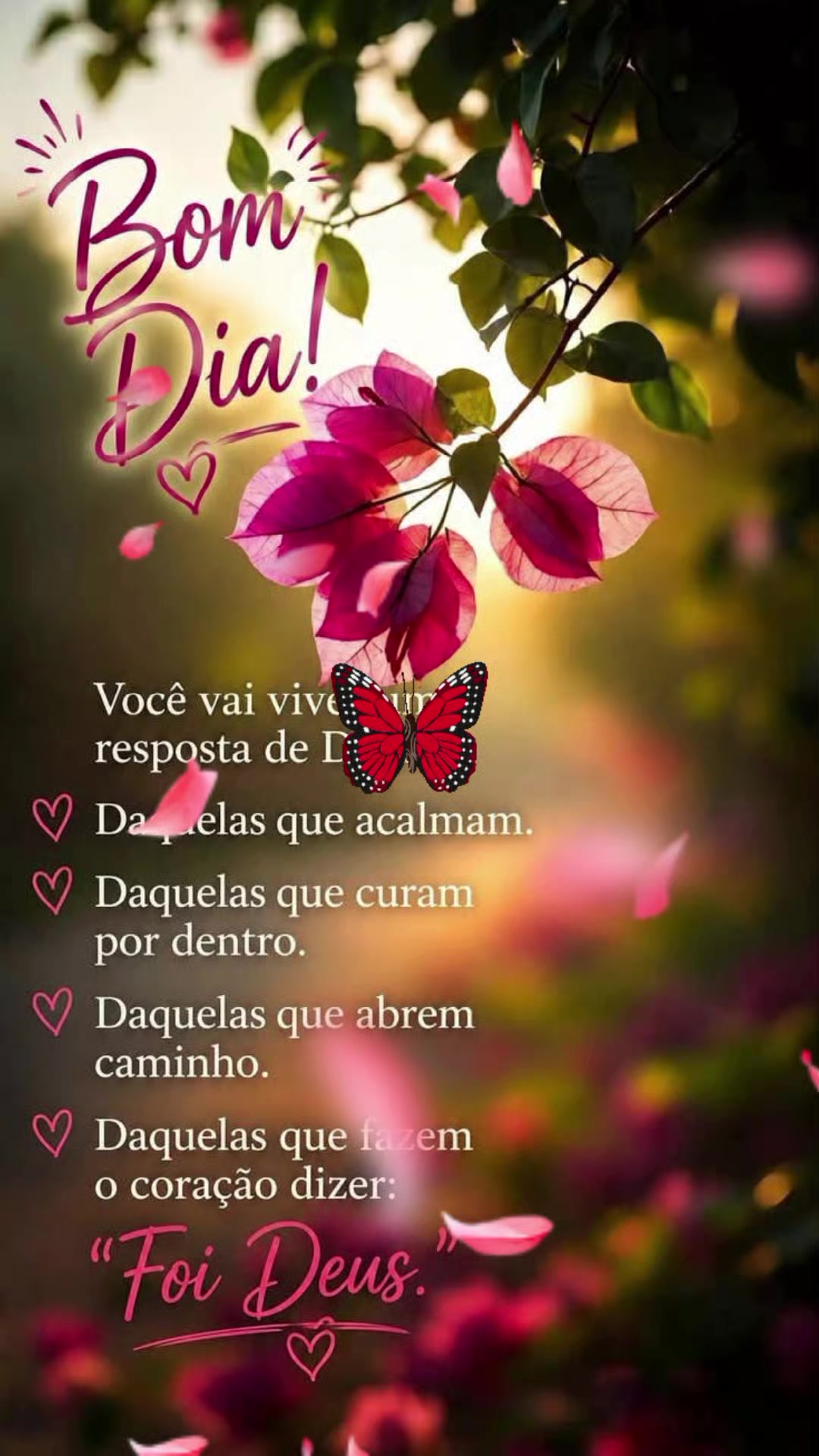 @Valdirene Soares 37