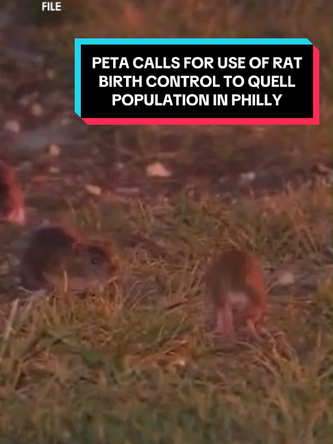 @FOX 29 Philadelphia