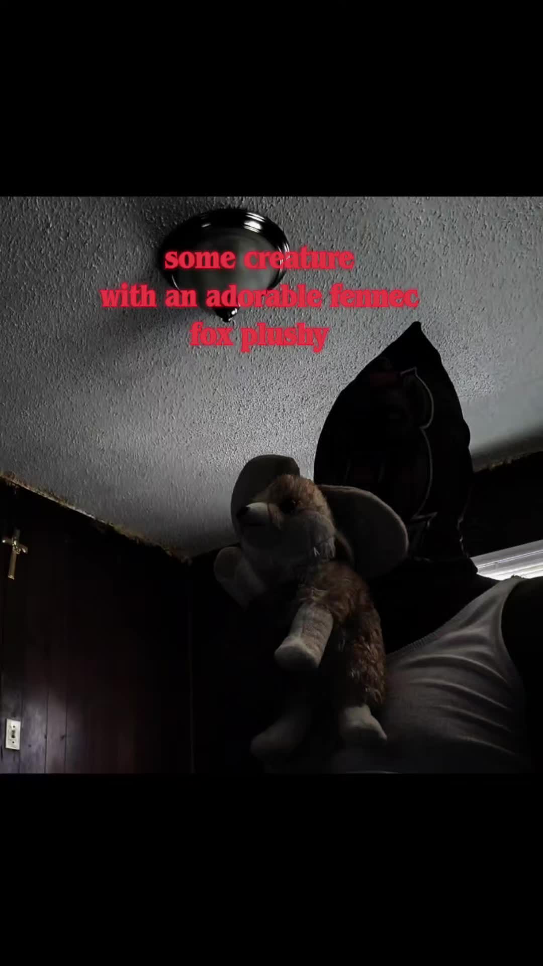 @AbrahamTheHyena