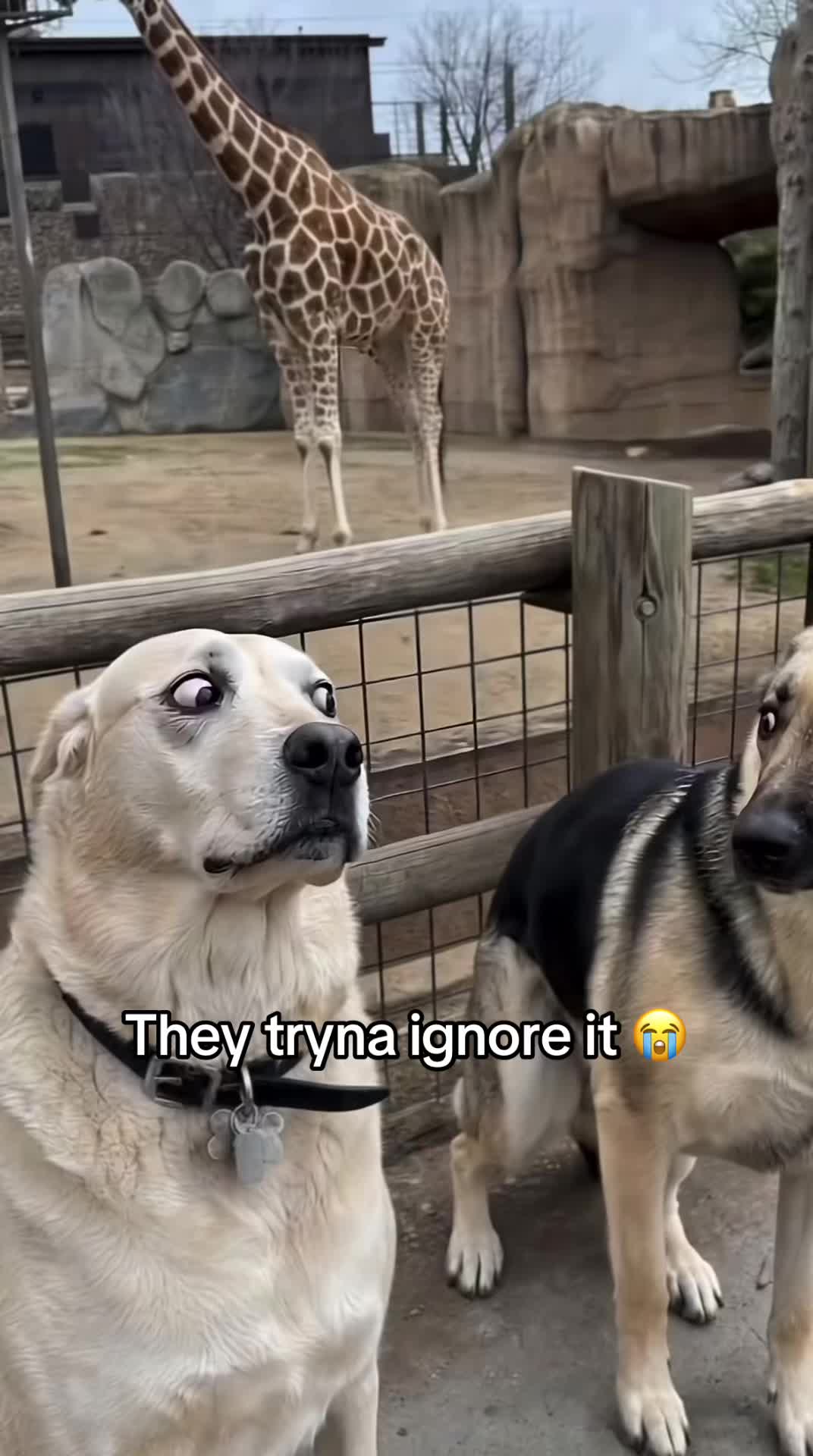 @Tim