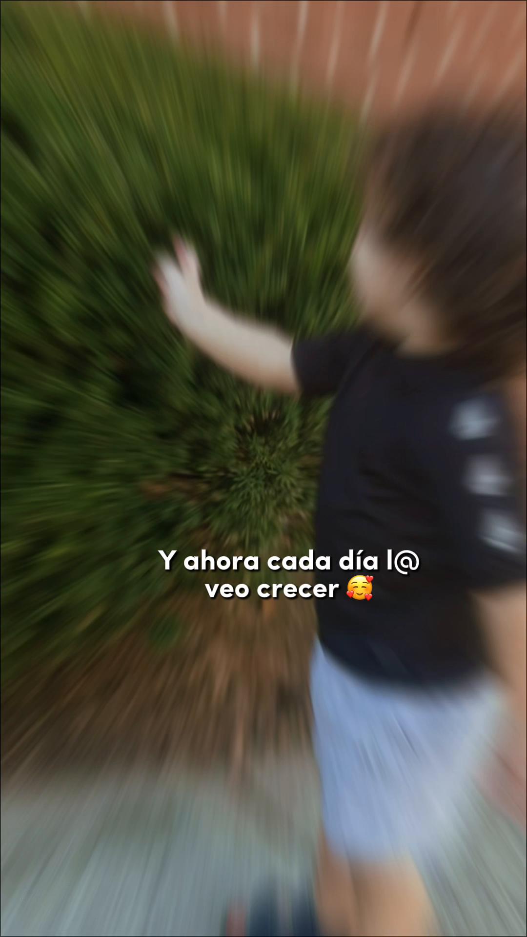 @Auri Ferreira