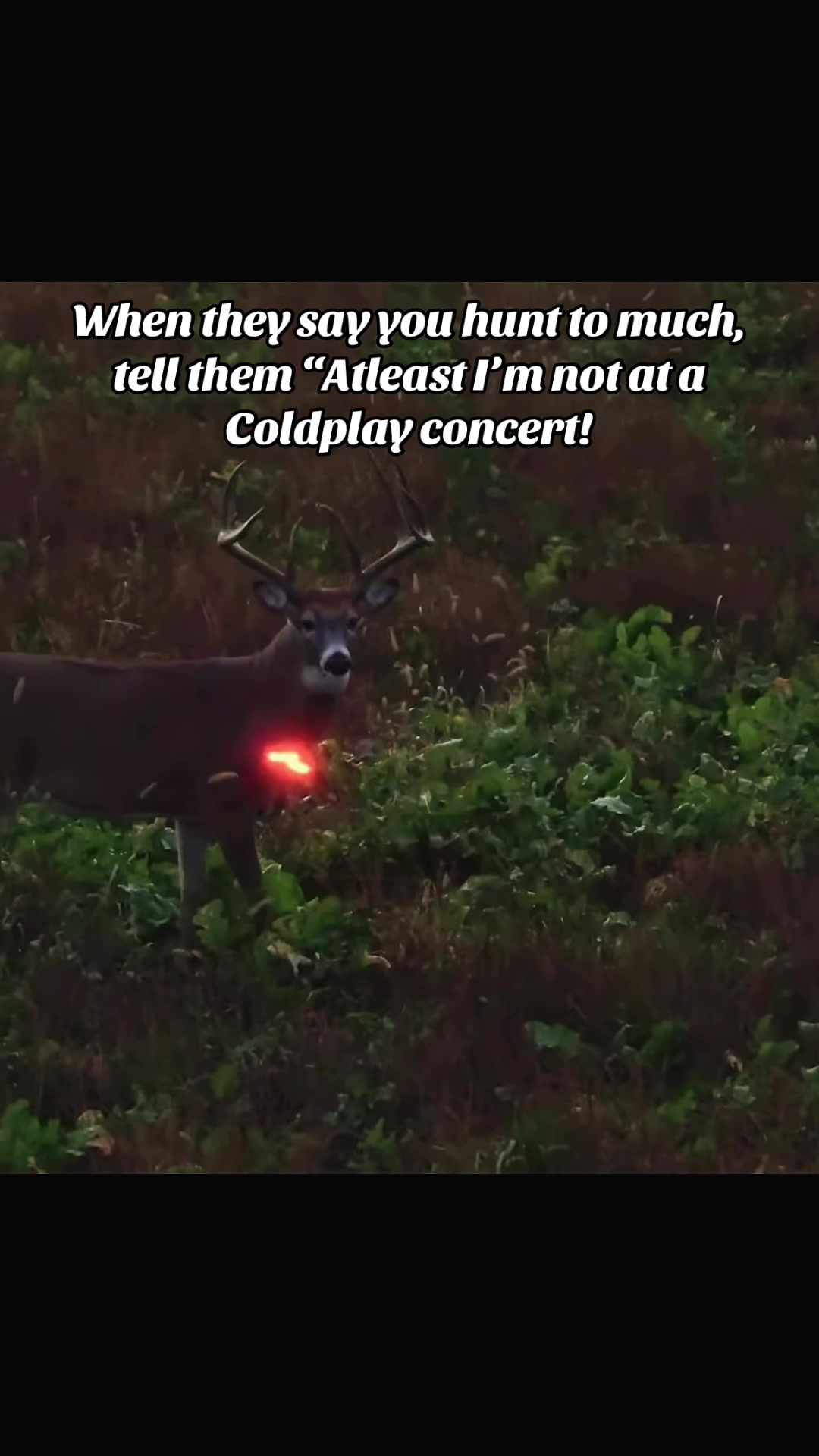 @🦌 Megabucks Outdoors 🦌
