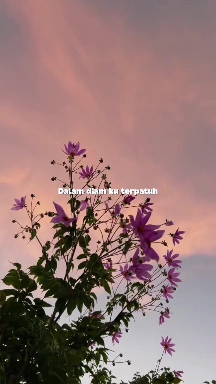 @Apayy07