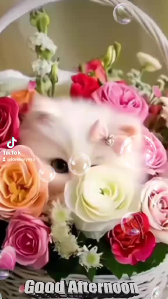 @Flowers